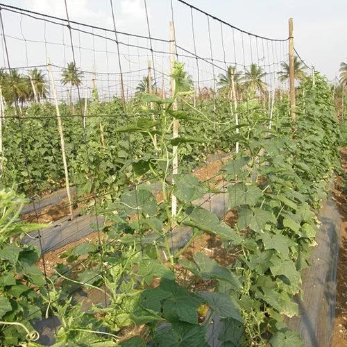 Landscape supply store