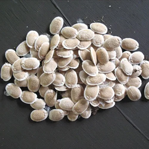 Homegrown vegetable seeds for sale