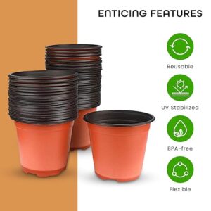 Purchase plant seeds online