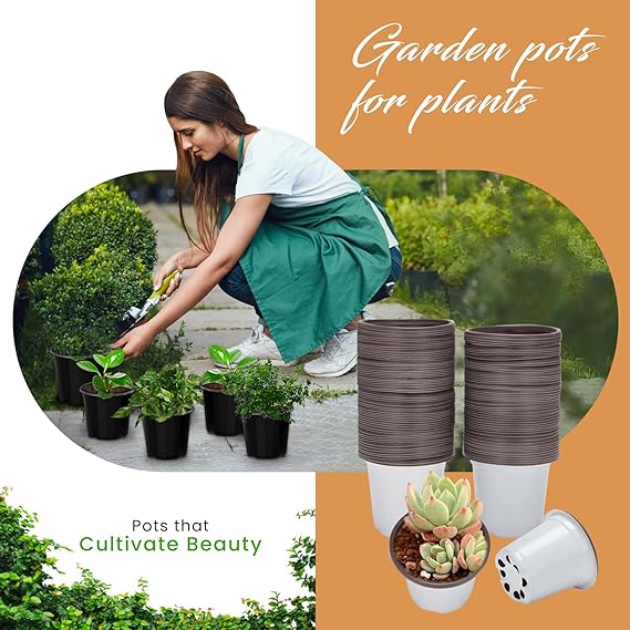 Trusted vegetable seed suppliers