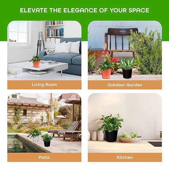Reputable online vegetable seed companies