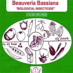 Produce seeds for sale