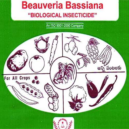 Produce seeds for sale