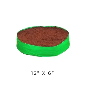Trusted vegetable seed suppliers