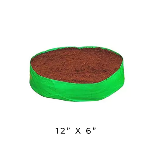 Trusted vegetable seed suppliers