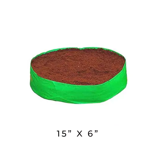Superior online vegetable seed stores