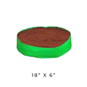 Premium quality vegetable seeds
