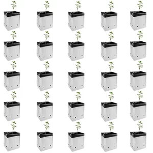 Organic heirloom seeds online