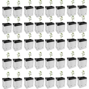 Heirloom organic vegetable seeds