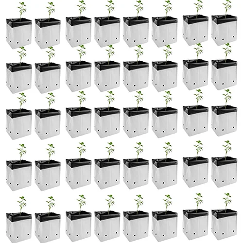 Heirloom organic vegetable seeds