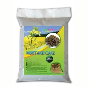Purchase plant seeds