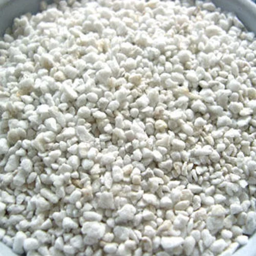 Authentic organic vegetable seeds online