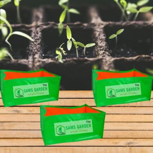 Outstanding vegetable seed collections online