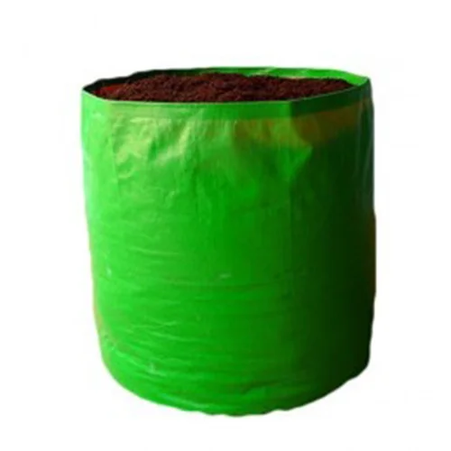 Hyderabad vegetable seeds online
