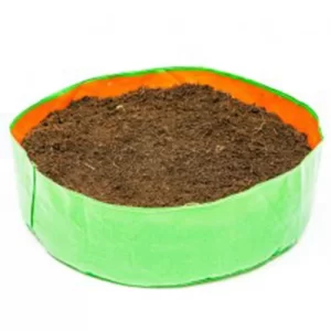 Online vegetable seed shop Hyderabad