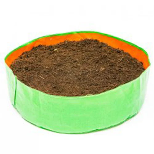 Online vegetable seed shop Hyderabad