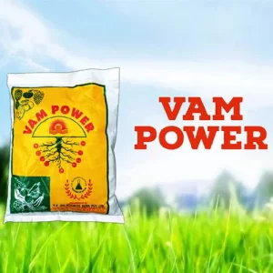 Eco-friendly seeds India