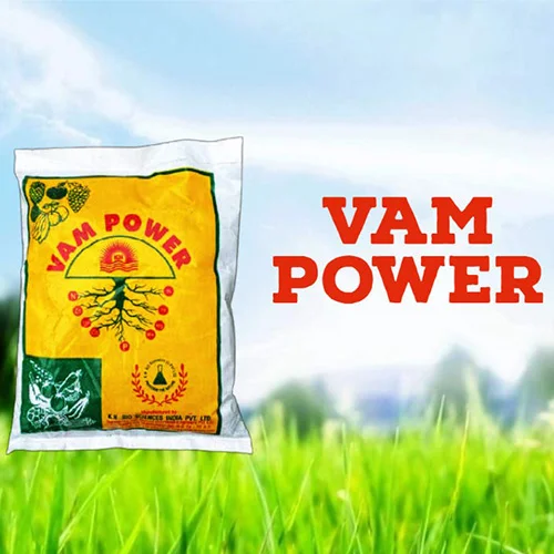 Eco-friendly seeds India